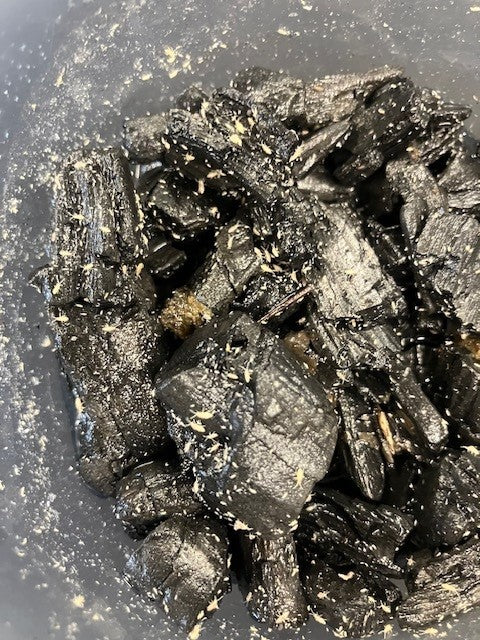 SPRINGTAILS, TROPICAL PINK