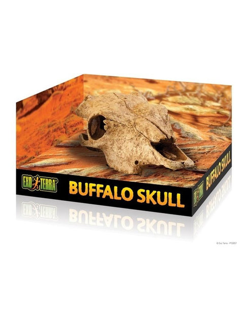 Exo Terra Terrarium Decor - Buffalo Skull LG