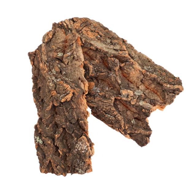 Cork Bark & Wood