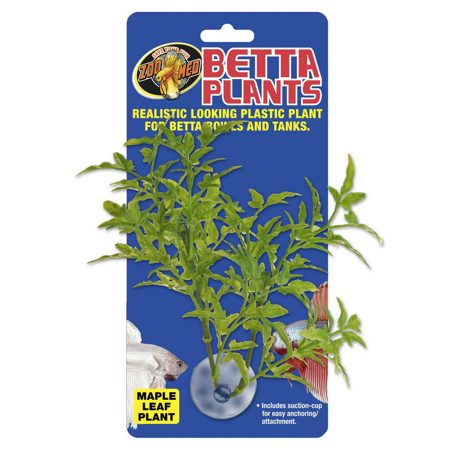 Betta Plant Maple Leaf - Zoo Med