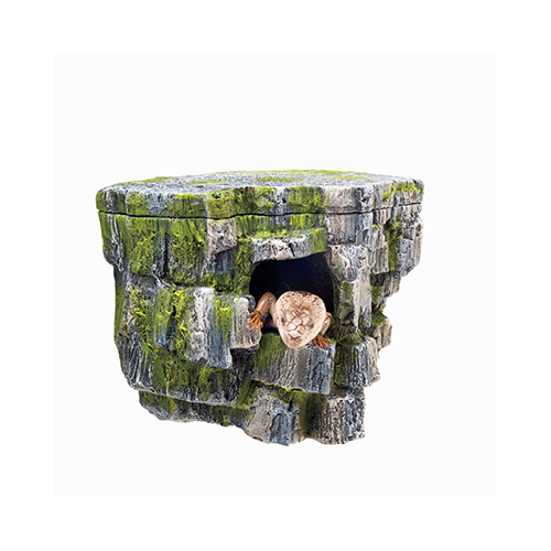 Vertical Rock Cave Zilla