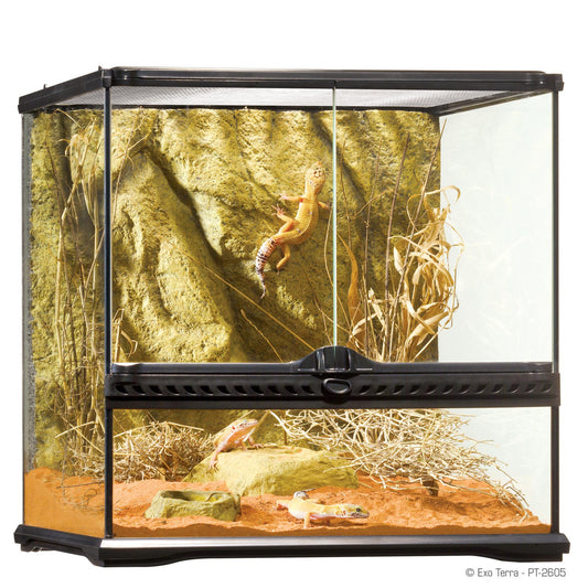 Exo Terra Wide Terrarium - Small - 45 x 45 x 45cm, 18in x 18in x 18in