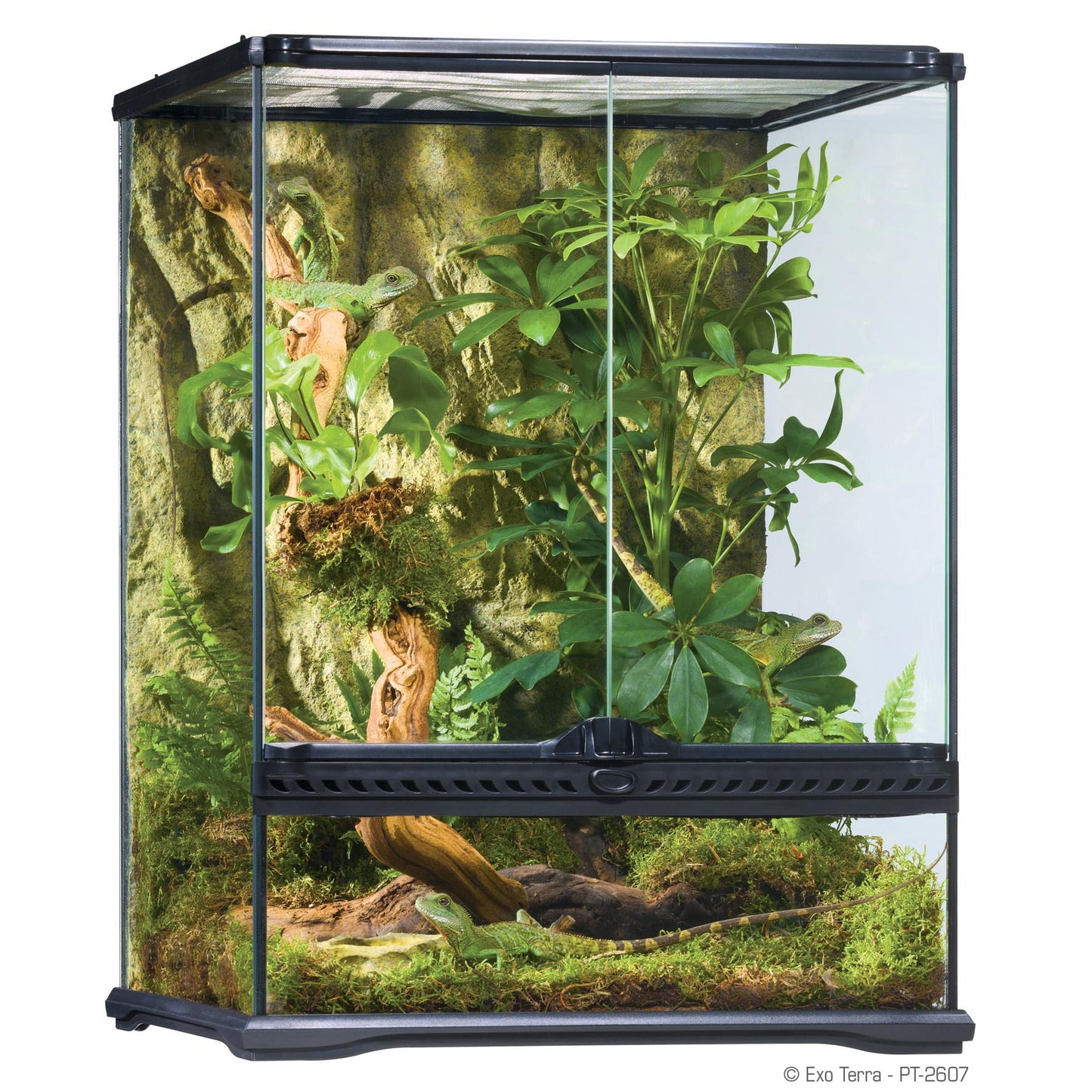 EXO TERRA 18"x18"x24" Glass Terrarium 45x45x60cm