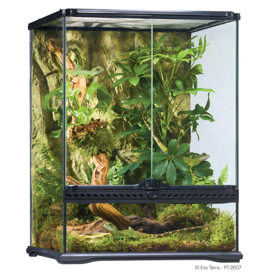 EXO TERRA 18"x18"x24" Glass Terrarium 45x45x60cm