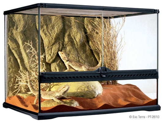 Exo Terra Wide Terrarium - Medium - 60 x 45 x 45cm, 24in x 18in x 18in