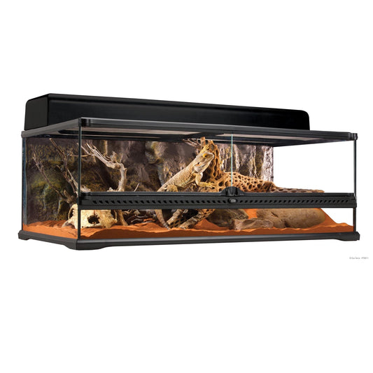 Exo Terra Wide Terrarium - Medium - 60 x 45 x 45cm, 24in x 18in x 18in