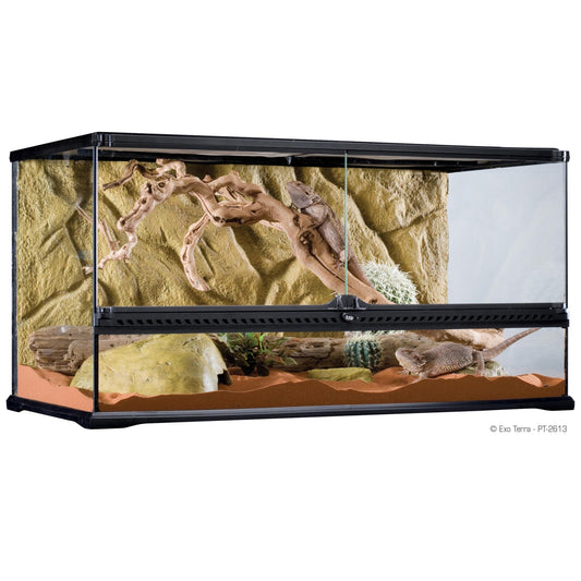 Exo Terra Wide Terrarium - Large - 90 x 45 x 45cm, 36in x 18in x 18in