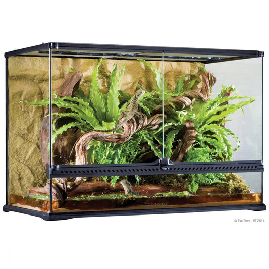 Exo Terra Tall Terrarium - Large - 90 x 45 x 60cm, 36in x 18in x 24in