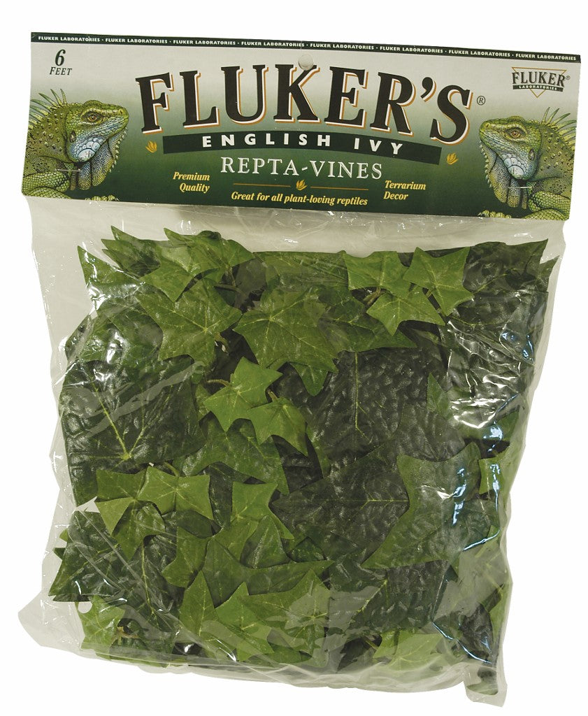 FLUKER'S® REPTI-VINES 6' ENGLISH IVY