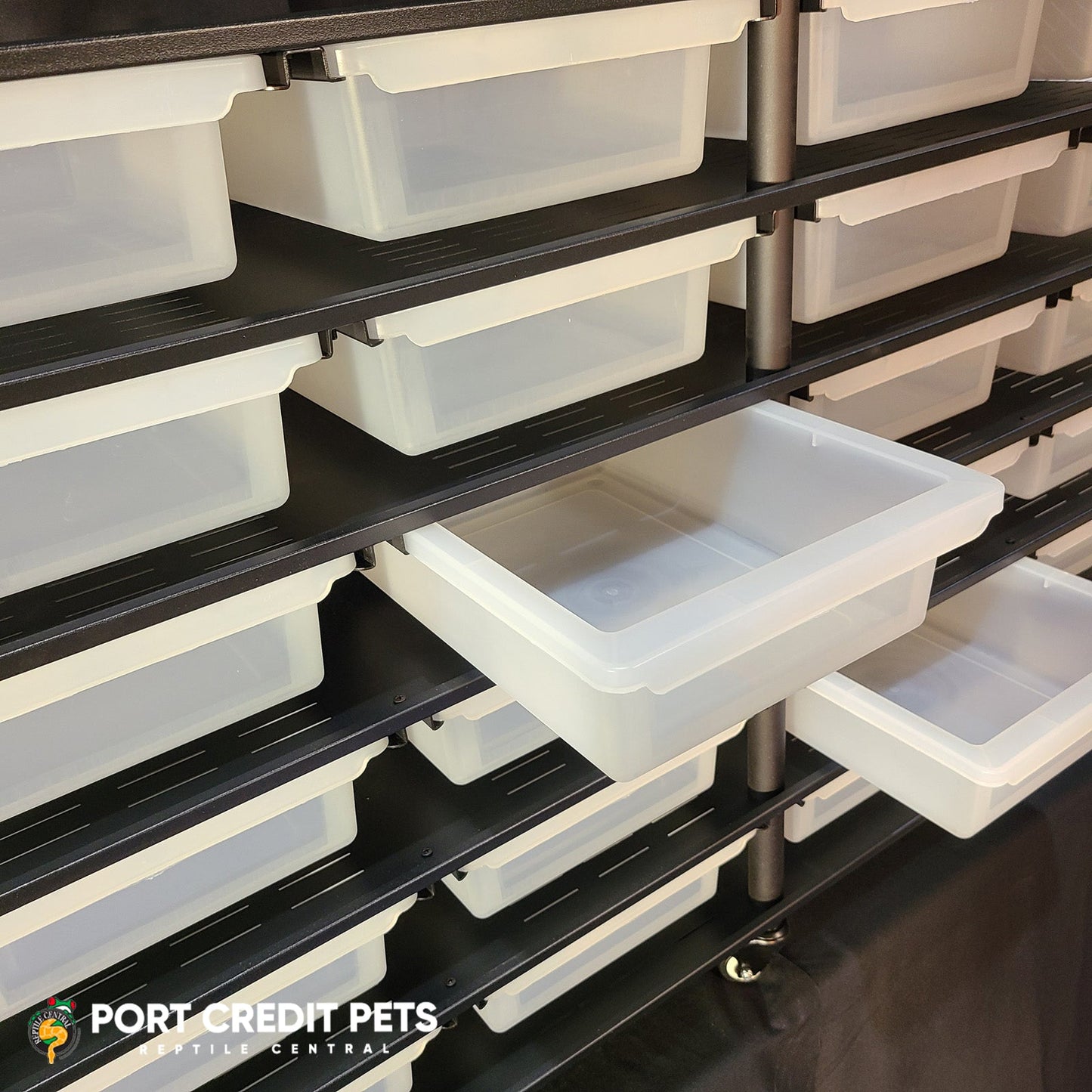 R80 RACK – REPTILE 6 LEVEL 24 BIN COMPLETE SYSTEM