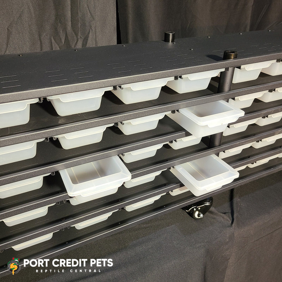 Superworm Container Rack R40 RACK â REPTILE 5 LEVEL 50 BIN SYSTEM â Port Credit Pets
