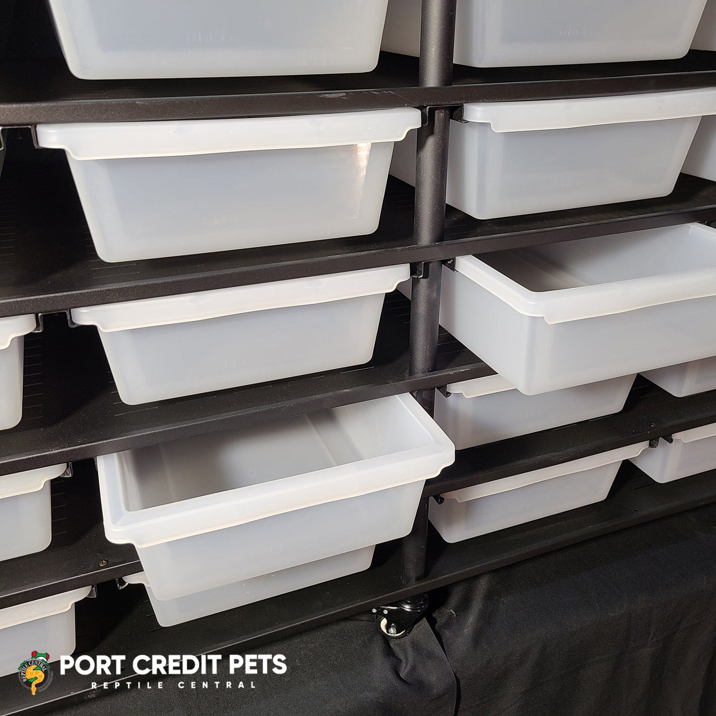 R92 RACK – REPTILE 5 LEVEL 20 BIN COMPLETE SYSTEM