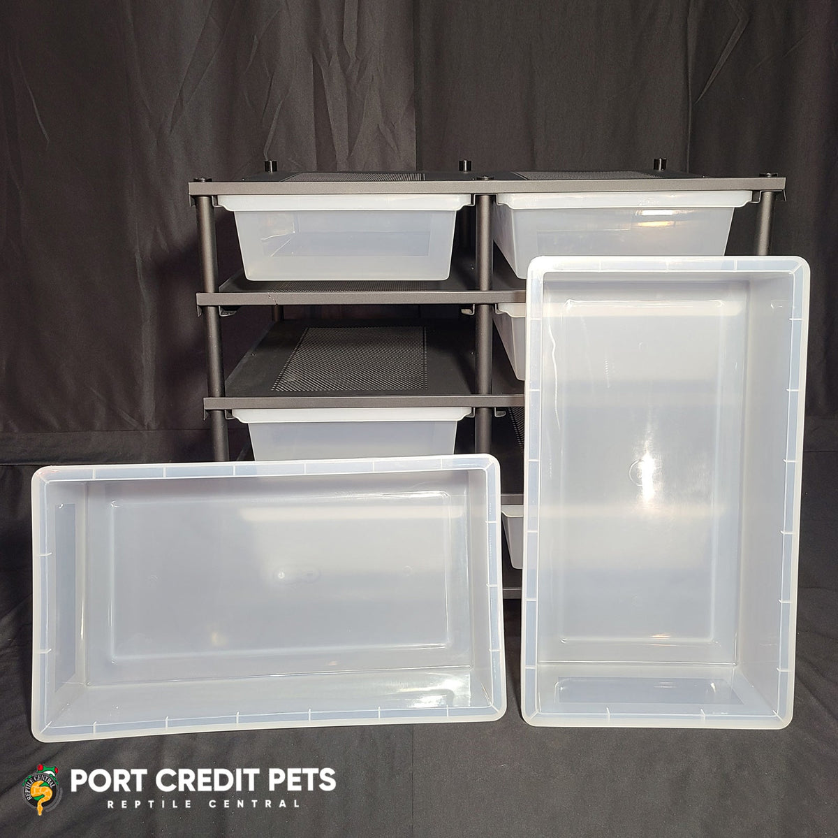 Superworm Container Rack R140 RACK â REPTILE 4 LEVEL 8 BIN COMPLETE SYSTEM â Port Credit Pets