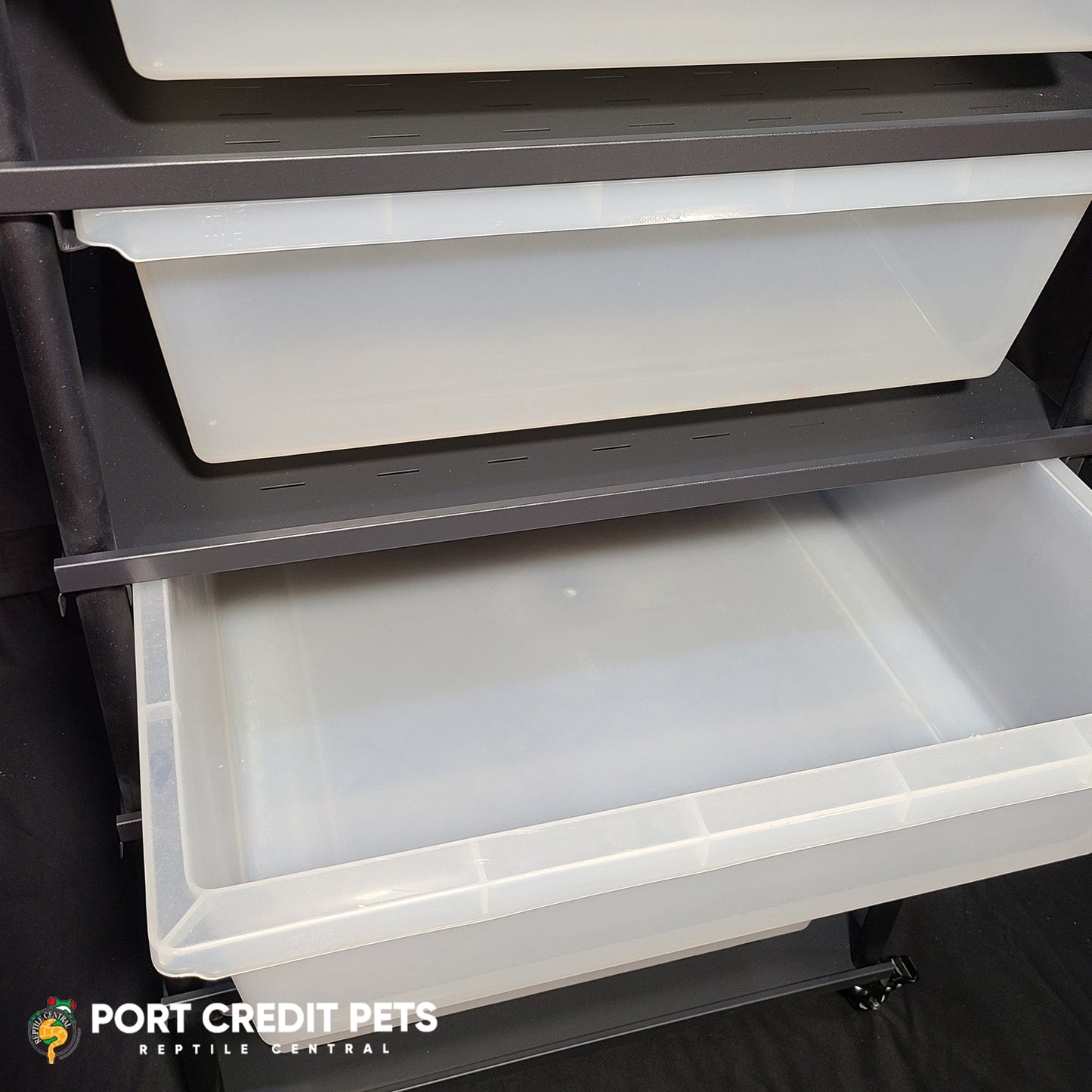 R160 RACK - REPTILE 5 LEVEL 5 BIN COMPLETE SYSTEM