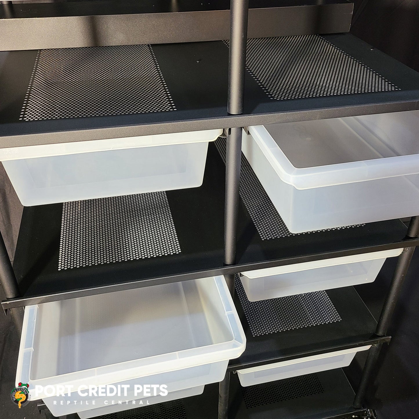 R104 LIZARD RACK – LIZARD REPTILE 4 LEVEL 8 BIN SPECIAL COMPLETE SYSTEM