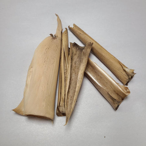 DRIED SMALL BAMBOO COVER PODS 5 PCS
