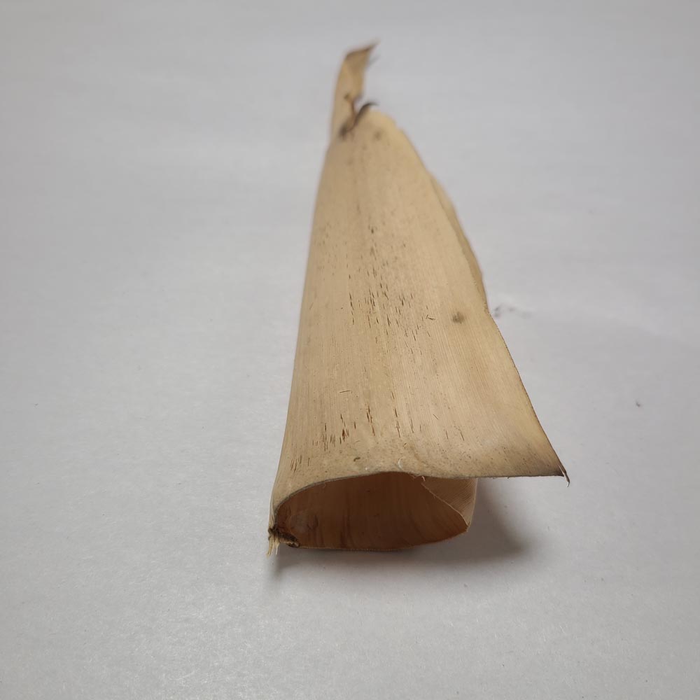 DRIED SMALL BAMBOO COVER PODS 5 PCS