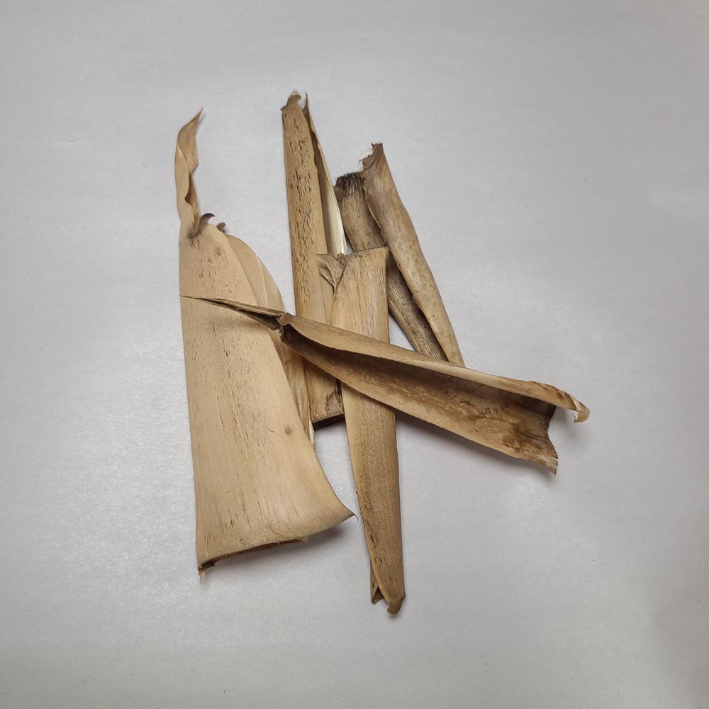 DRIED SMALL BAMBOO COVER PODS 5 PCS