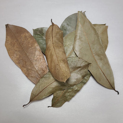 SOURSOP MIX SIZE DRIED LEAVES 10 PCS