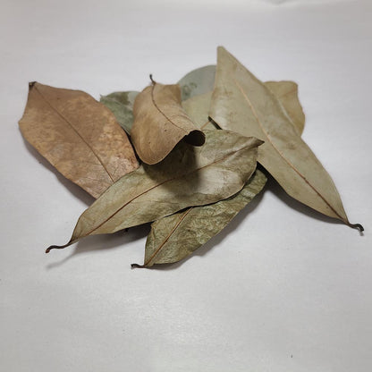 SOURSOP MIX SIZE DRIED LEAVES 10 PCS