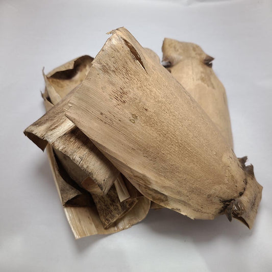 DRIED BIG BAMBOO COVER PODS 5 PCS