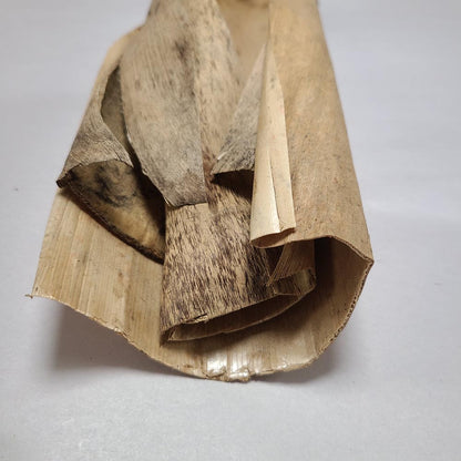 DRIED BIG BAMBOO COVER PODS 5 PCS