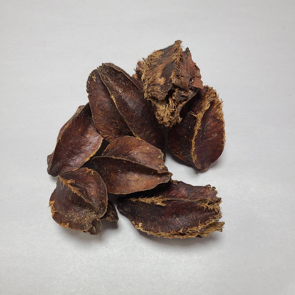 DRIED KUMBUK TREE PODS 8PCS