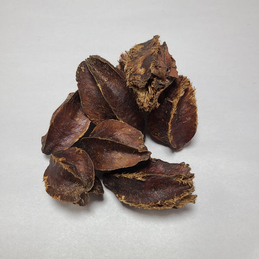 DRIED KUMBUK TREE PODS 8PCS