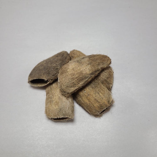 DRIED MANGO SEEDS 4PCS