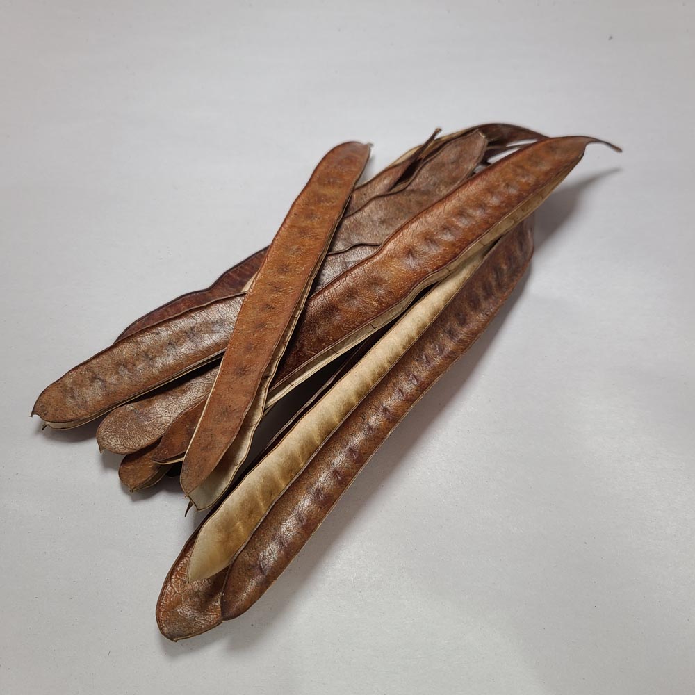 DRIED IPIL TREE PODS 10PCS