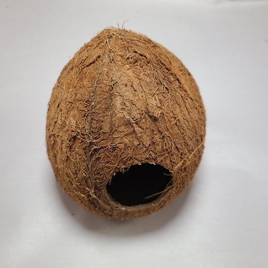 3 Piece 3/4 COCO SHELL CAVE