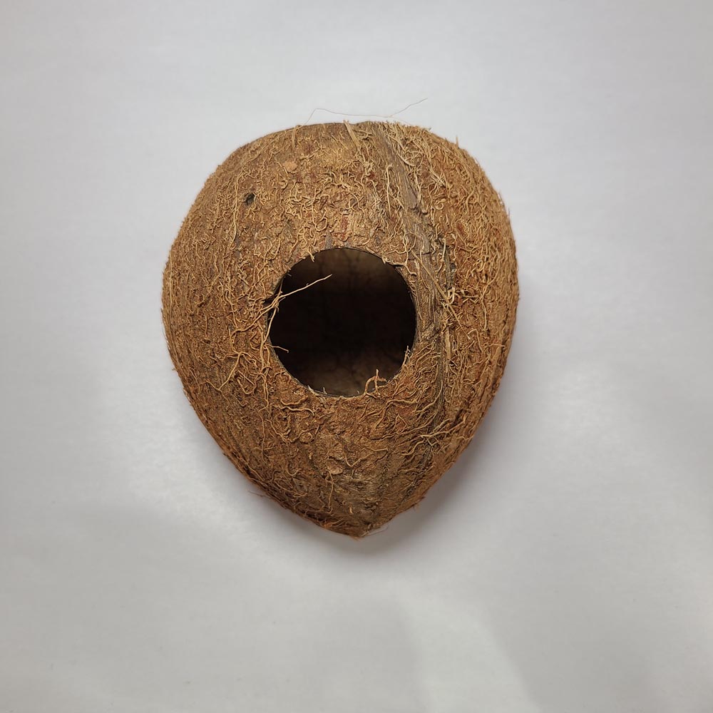 3/4 COCO SHELL CAVE - 3 PACK