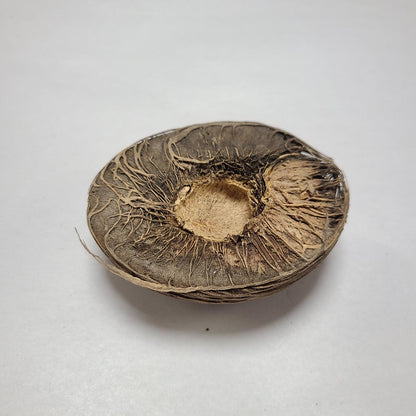 DRIED MINTOLLA BALL (S MANGO) 3 PCS