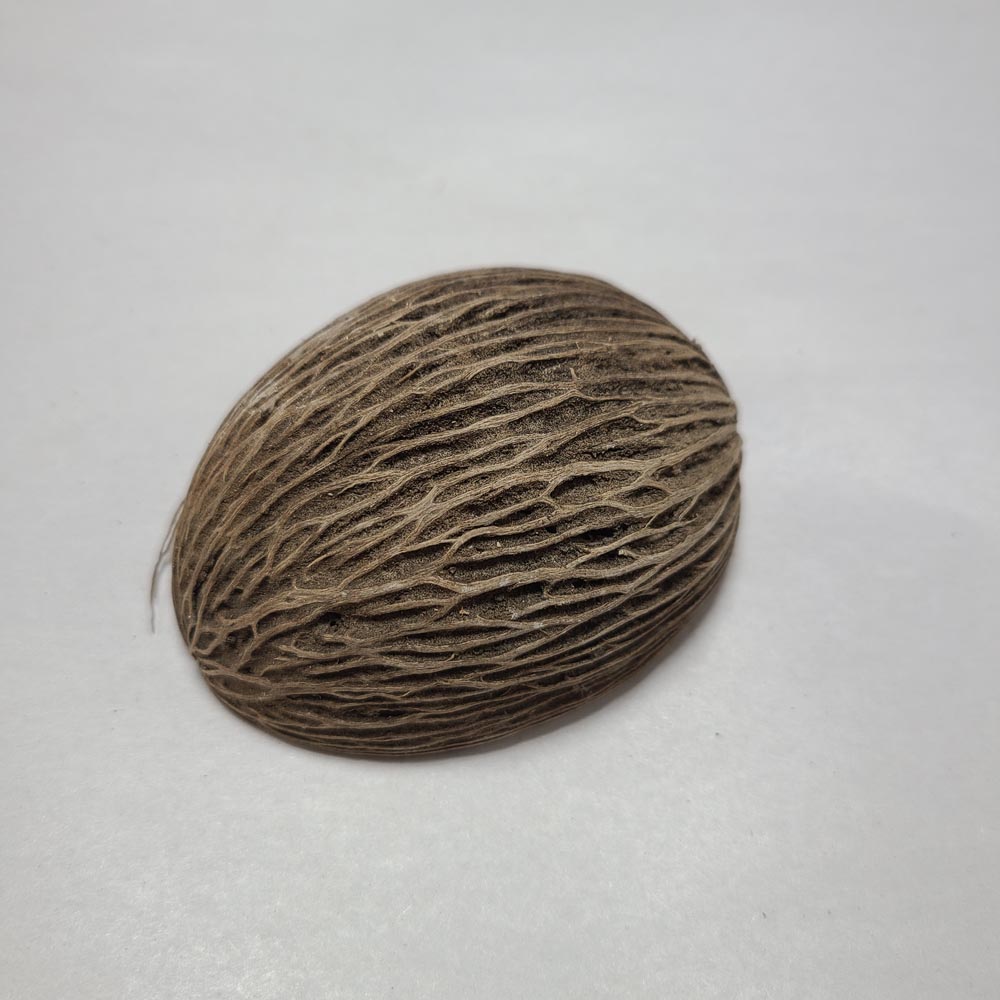 DRIED MINTOLLA BALL (S MANGO) 3 PCS