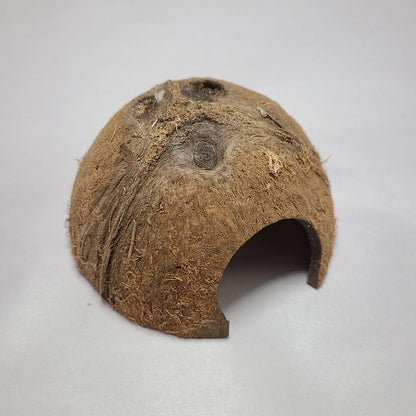 1/2 COCO SHELL CAVE 5PCS