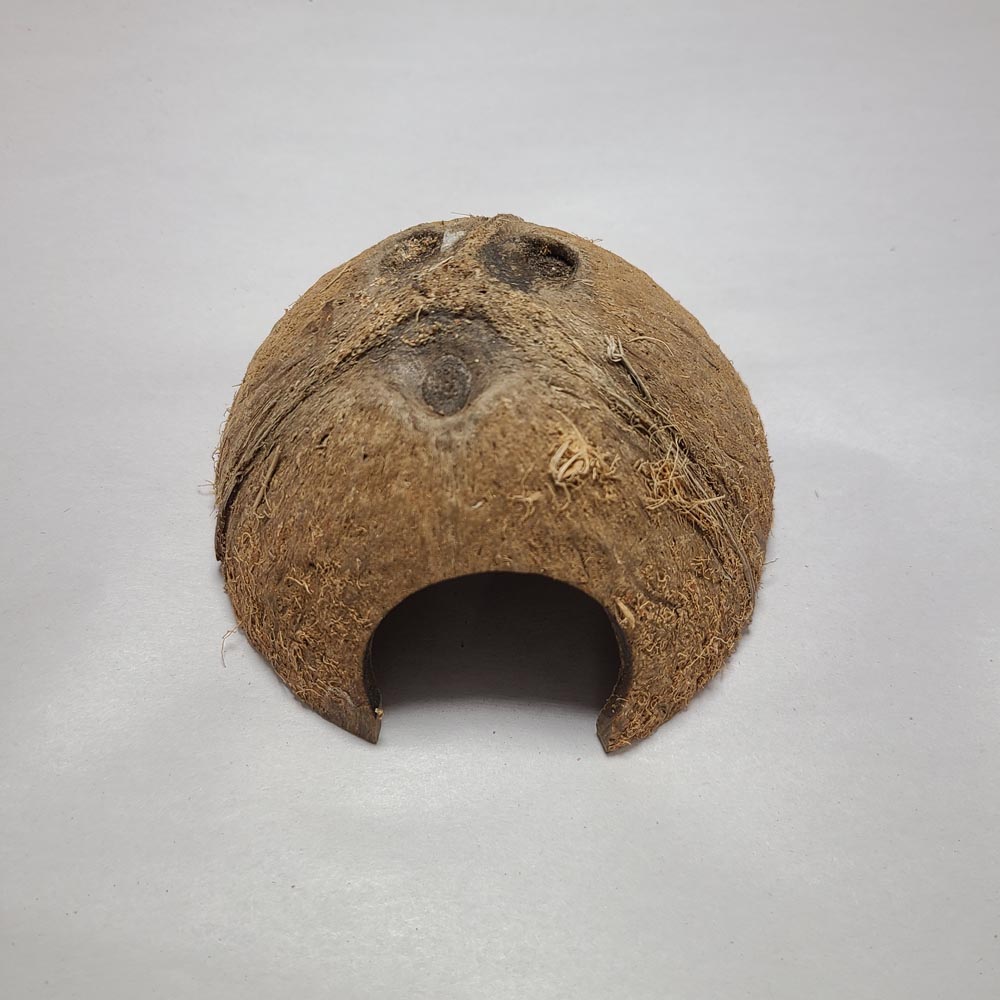 1/2 COCO SHELL CAVE 5PCS