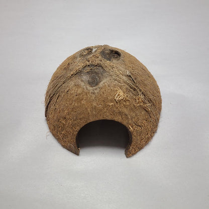 1/2 COCO SHELL CAVE 5PCS