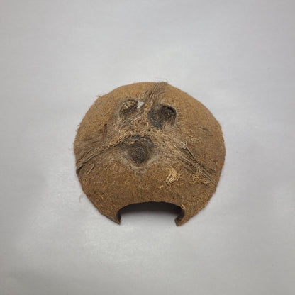 1/2 COCO SHELL CAVE 5PCS