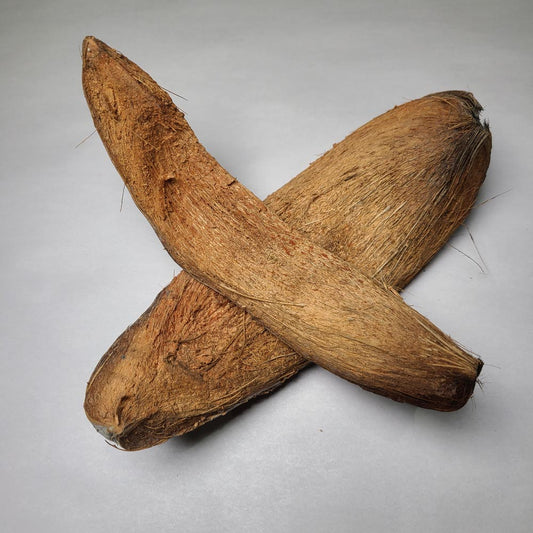 DRIED COCONUT HUSK SLICE 2PCS