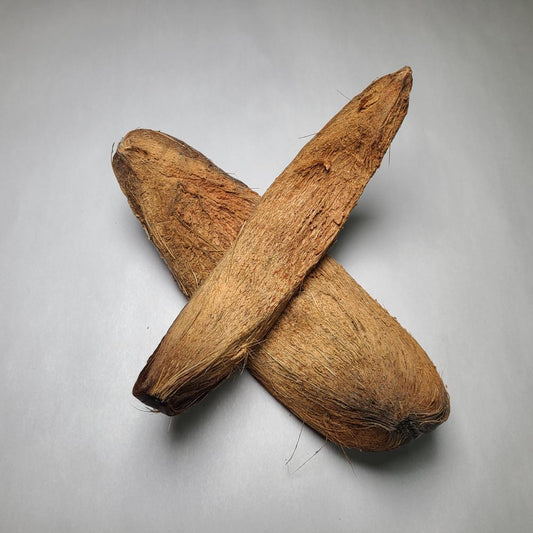DRIED COCONUT HUSK SLICE 2PCS