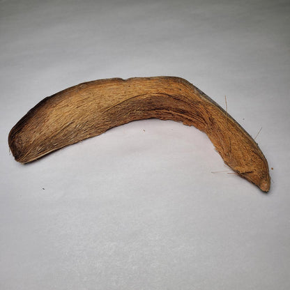 DRIED COCONUT HUSK SLICE 2PCS