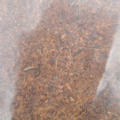 COMPRESSED 5KG COCO PEAT SUBSTRATES BLOCK