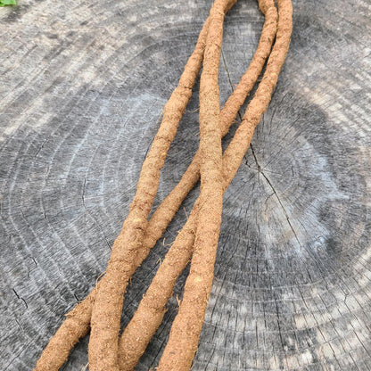 NATURAL COCO FLEXI VINES