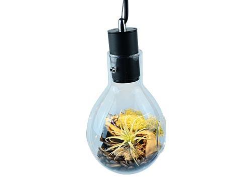 SR Aquaristik Hanging Luminarium Terrarium