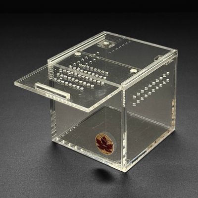 3x3x3 Mini Beasts Canada Sling Cube Enclosure