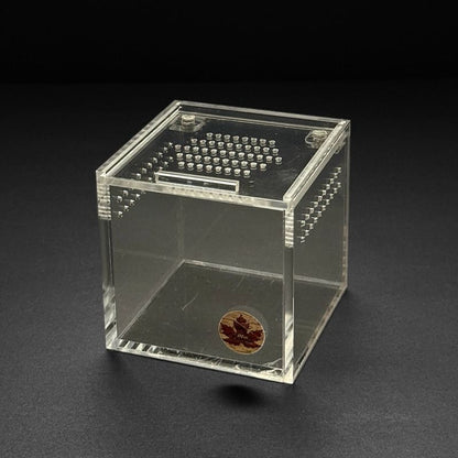 3x3x3 Mini Beasts Canada Sling Cube Enclosure