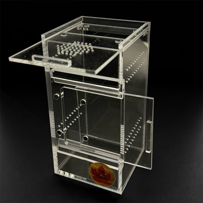 3x3x6” Mini Beasts Canada Arboreal Sling Enclosure