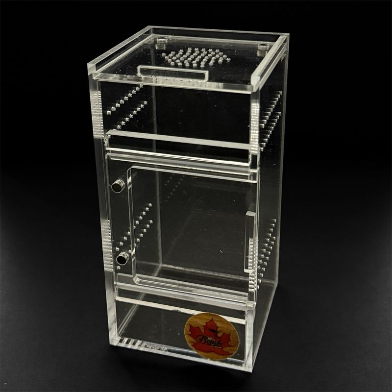 3x3x6” Mini Beasts Canada Arboreal Sling Enclosure