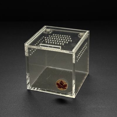 2x2x2” Mini Beasts Canada Nano Sling Cube Enclosure