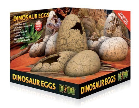 Exo Terra Dinosaur Egg